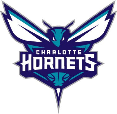 charlotte hornets dtf transfer basketball logo design for shirts