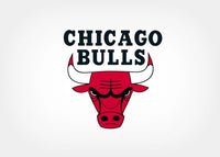CHICAGO BULLS