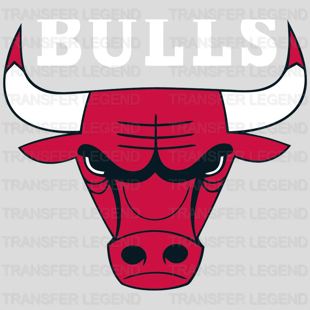 Chicago Bulls Classic Bull Head with “BULLS” Text NBA Design - DTF Heat Transfer