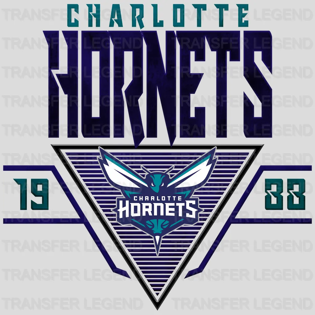 Charlotte Hornets NBA Triangle Banner Logo - DTF Iron On Transfer