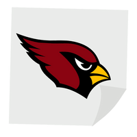 ARIZONA CARDINALS