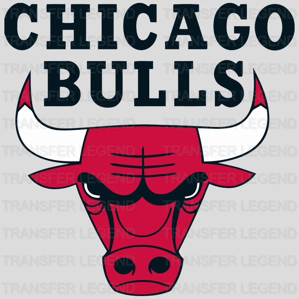 Chicago Bulls Primary Bull Head with Team Wordmark NBA Design - DTF Heat Transfer